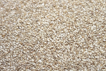 Natural Sesame Seed